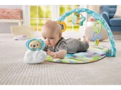 Fisher Price Gimnasio Osito Musical Mattel DYW46 8 Fisher Price Gimnasio Osito Musical Mattel DYW46 -Mattel Tienda De Ventas 1011143189g02