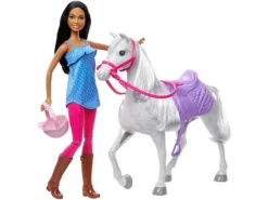 Barbie Morena Hora De Equitación Con Caballo Mattel HCJ53