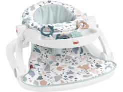 Fisher Price Asiento Para Suelo Con Bandeja Mattel HBD68