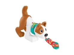 Fisher Price Cachorro Aprende A Contar En Portugués Mattel HHH19