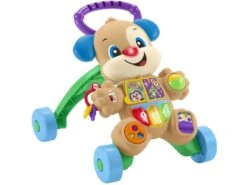 Fisher Price Andador Perrito Primeros Pasos Mattel HHX15