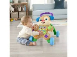 Fisher Price Andador Perrito Primeros Pasos Mattel HHX15 -Mattel Tienda De Ventas 1999963294g03